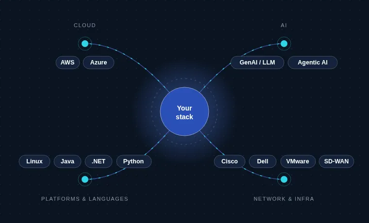 Diagram: the BCI-IT technology stack grouped into cloud, AI, platforms and languages, and network and infrastructure, centred on the client's existing stack.